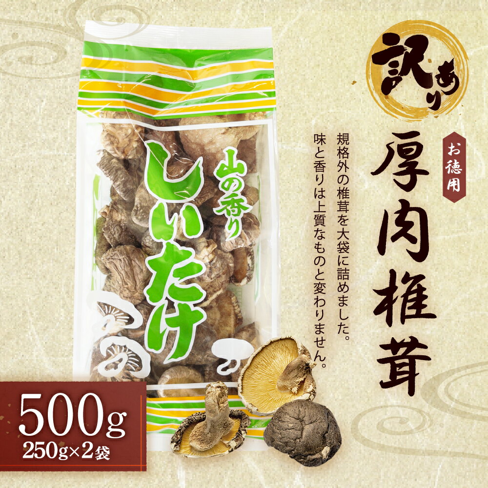 【ふるさと納税】【訳あり】お徳用 厚肉 椎茸 500g （250g×2袋） 椎茸 しいたけ 乾しいたけ 肉厚 大袋 規格外 大分県産 九州産 国産 FPB15 送料無料 - 画像2