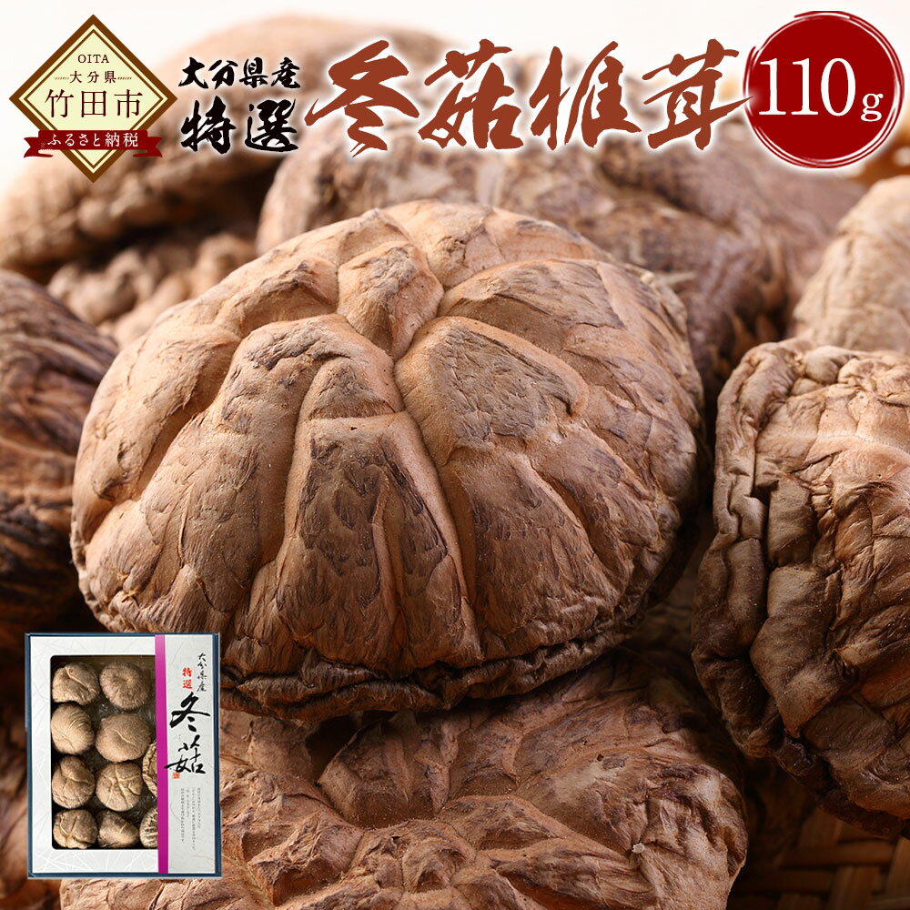 大分県産 特選どんこ椎茸 110g 乾しいたけ しいたけ シイタケ きのこ どんこ 干し 国産 九州産 だし 原木 FT10 送料無料