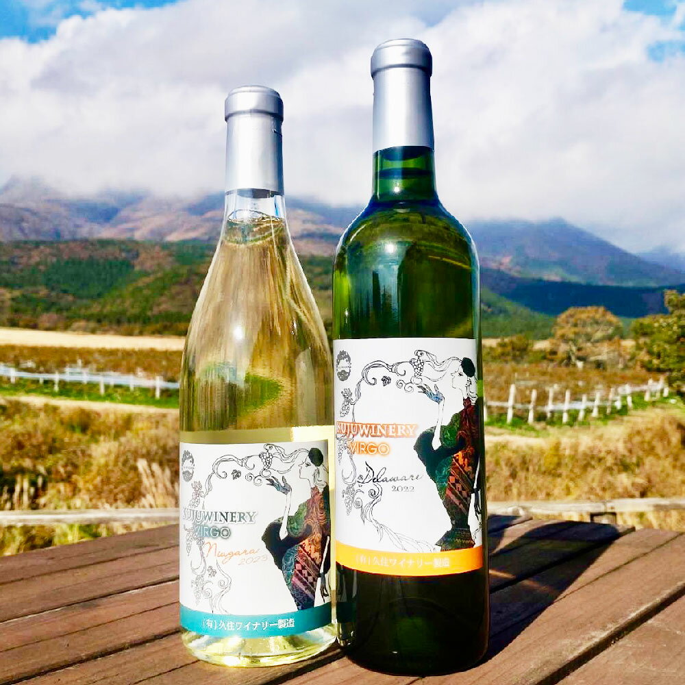 ラブルスカ系品種（ナイアガラ・デラウェア）2本セット 白ワイン ワイン 白ワインセット ワインセット セット 白 飲み比べ お酒セット お酒 酒 洋酒 大分県産 竹田市 常温 送料無料
