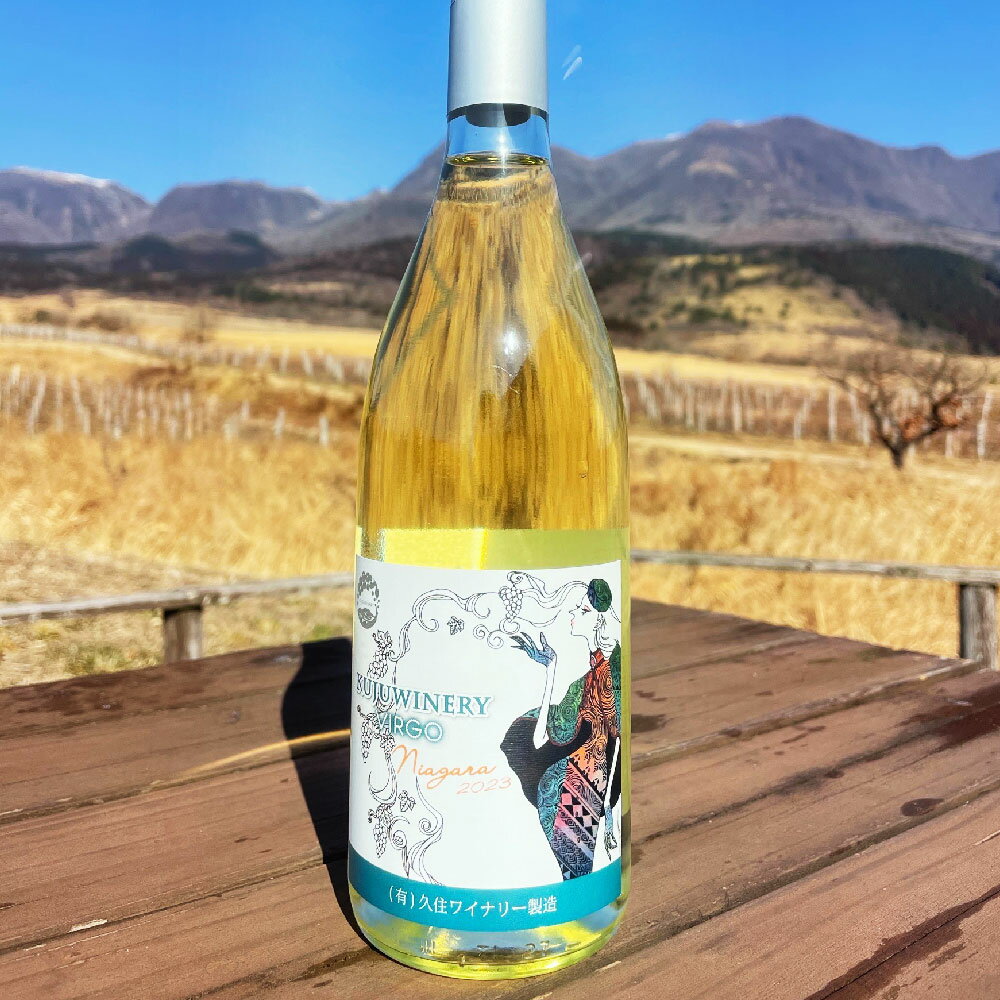 【ふるさと納税】ラブルスカ系品種（ナイアガラ・デラウェア）2本セット 白ワイン ワイン 白ワインセット ワインセット セット 白 飲み比べ お酒セット お酒 酒 洋酒 大分県産 竹田市 常温 送料無料 サムネイル2