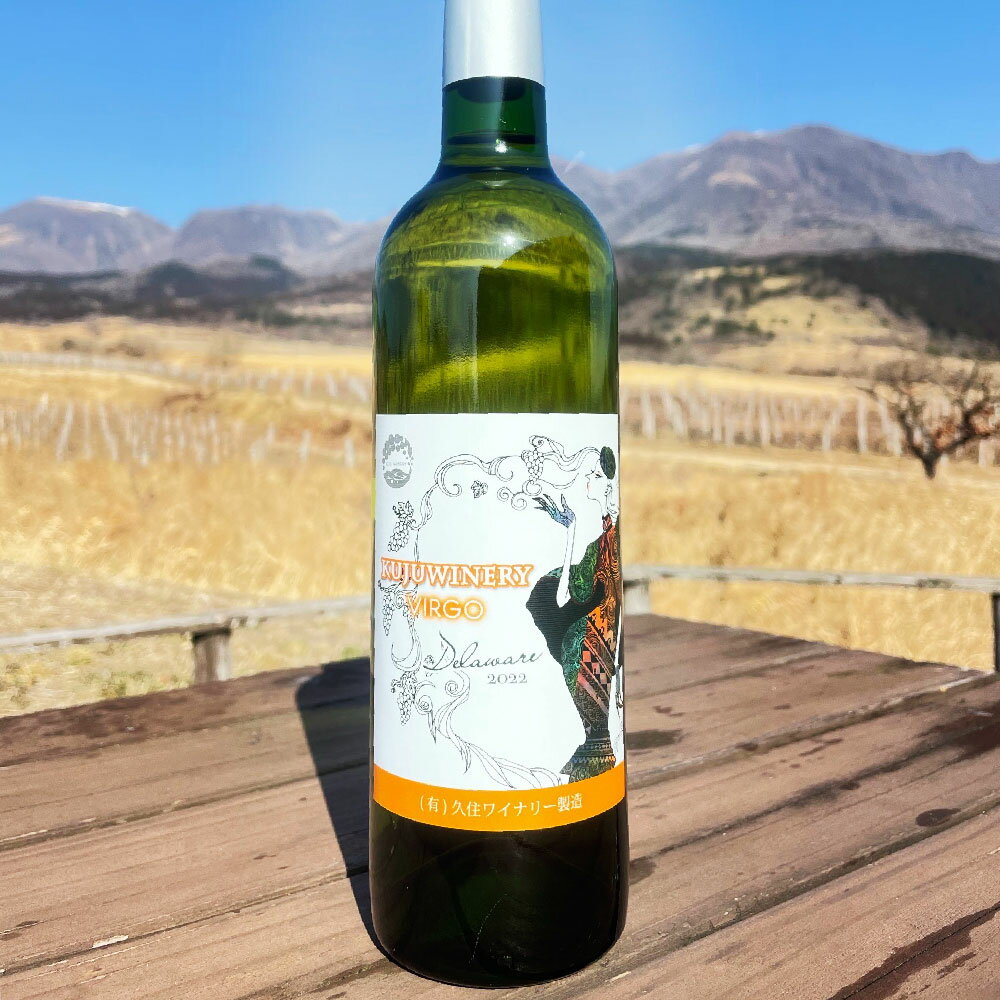 【ふるさと納税】ラブルスカ系品種（ナイアガラ・デラウェア）2本セット 白ワイン ワイン 白ワインセット ワインセット セット 白 飲み比べ お酒セット お酒 酒 洋酒 大分県産 竹田市 常温 送料無料 サムネイル3