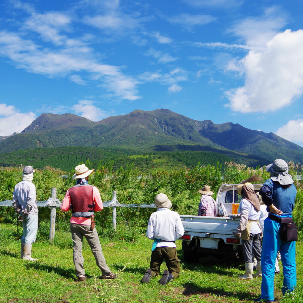 【ふるさと納税】久住ワイナリーの久住高原育ち赤・ロゼ 720ml×2本セット 辛口 ワイン 赤ワイン お酒 酒 洋酒 アルコール 国産 九州産 大分県産 送料無料 サムネイル3