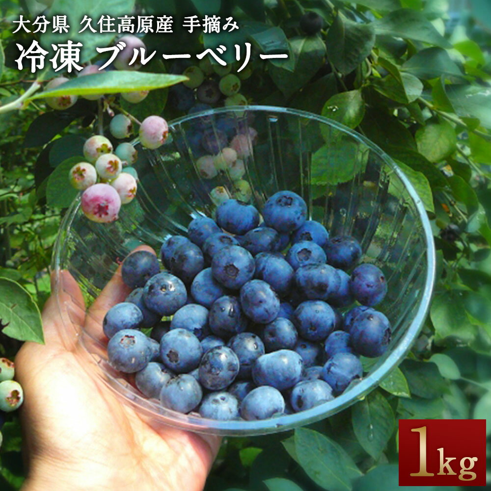 冷凍 ブルーベリー 1kg 栽培期間中 農薬不使用 手摘み 新鮮 ジャム スムージー ヨーグルト フルーツ 果物 特産品 特産 名産 国産 九州 大分県 竹田市 久住高原産 送料無料【2025年7月下旬より順次発送開始予定】