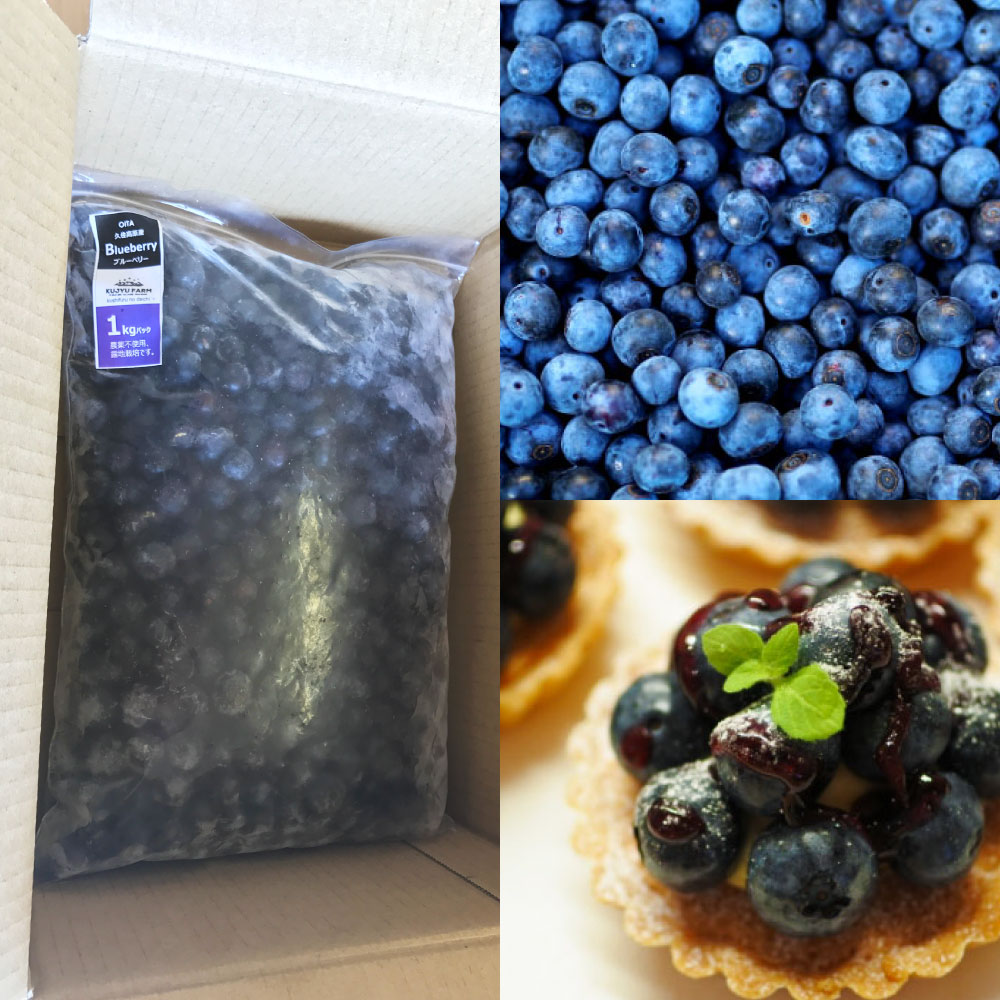 【ふるさと納税】冷凍 ブルーベリー 1kg 栽培期間中 農薬不使用 手摘み 新鮮 ジャム スムージー ヨーグルト フルーツ 果物 特産品 特産 名産 国産 九州 大分県 竹田市 久住高原産 送料無料【2025年7月下旬より順次発送開始予定】 サムネイル3
