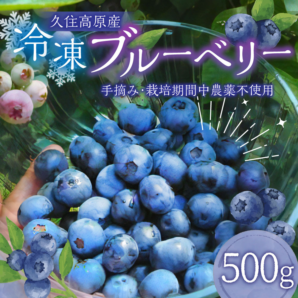 【ふるさと納税】 【お試しサイズ】久住高原 冷凍 ブルーベリー 500g 栽培期間中 農薬不使用 手摘み 新鮮 ジャム スムージー ヨーグルト フルーツ 果物 お試し 特産品 特産 名産 国産 九州 大分県 竹田市 久住高原産 送料無料 サムネイル2