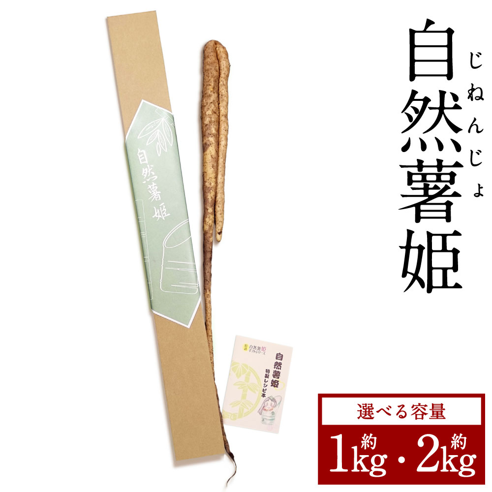 自然薯姫 約1kg 約2kg 山芋 自然薯 じねんじょ やまいも ヤマイモ 野菜 無農薬 芋 九州 常温 国産 大分 大分県産 大分県 竹田市 送料無料 【発送不可期間:毎年4月下旬～11月上旬】