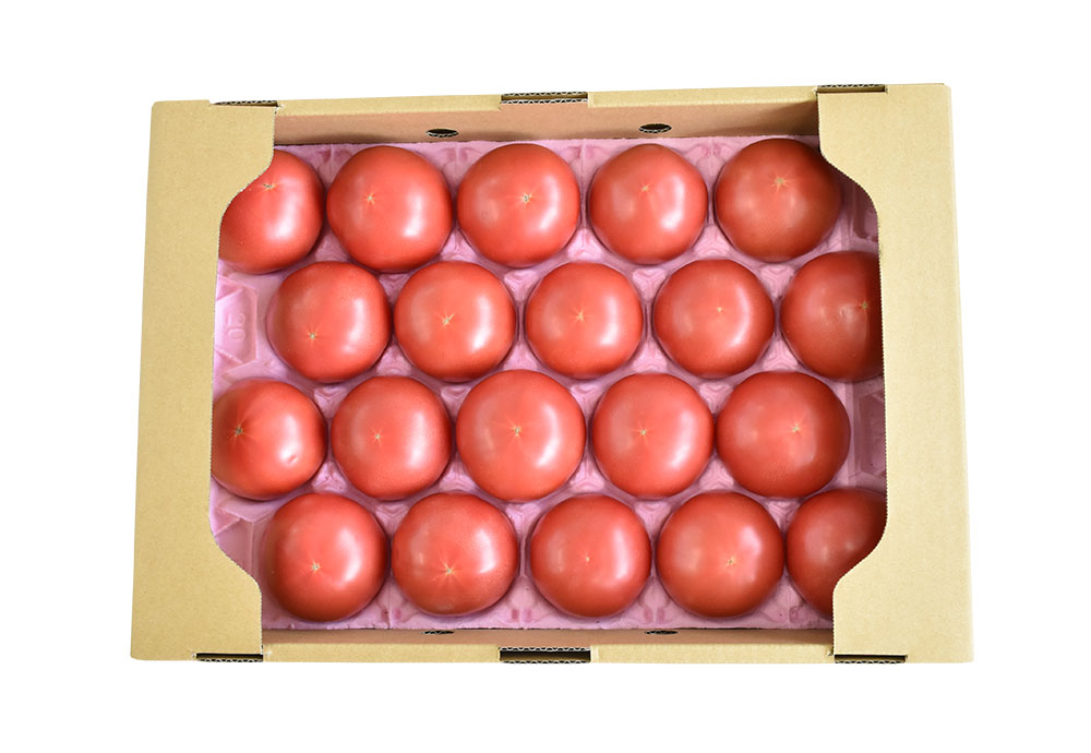 【ふるさと納税】竹田市産 高原トマト 16～28個 トマト とまと 野菜 竹田市 大分県 送料無料【2026年5月下旬-2027年1月上旬発送予定】 - 画像3