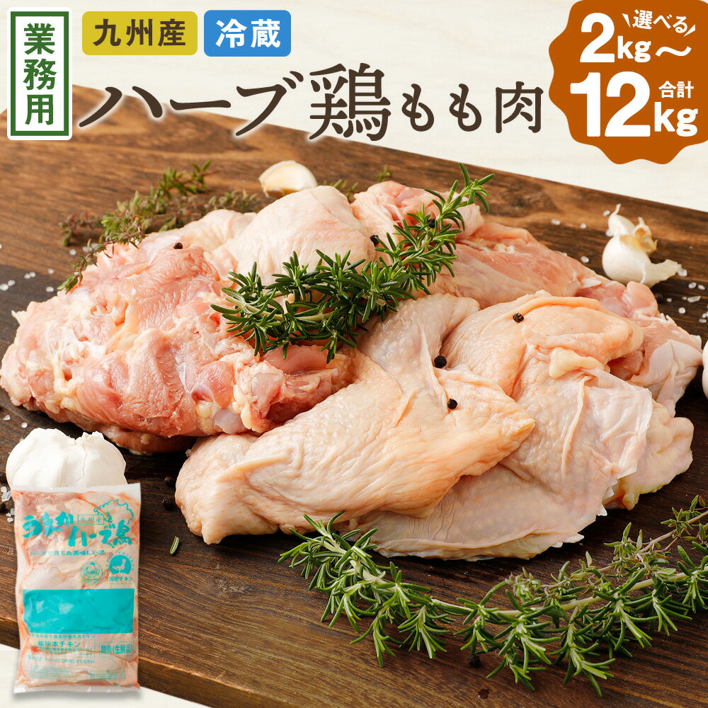【10営業日以内発送】〈選べる容量〉ハーブ鶏もも肉 2kg・4kg（2kg×2袋）・12kgセット（2kg×6袋）一袋 2kg 10000円 〜 50000円 1万円 〜 5万円 業務用 大分県産 鶏肉 もも 冷蔵 国産 鶏もも肉 鶏モモ肉 鶏モモ もも肉 お肉セット 大分県 竹田市