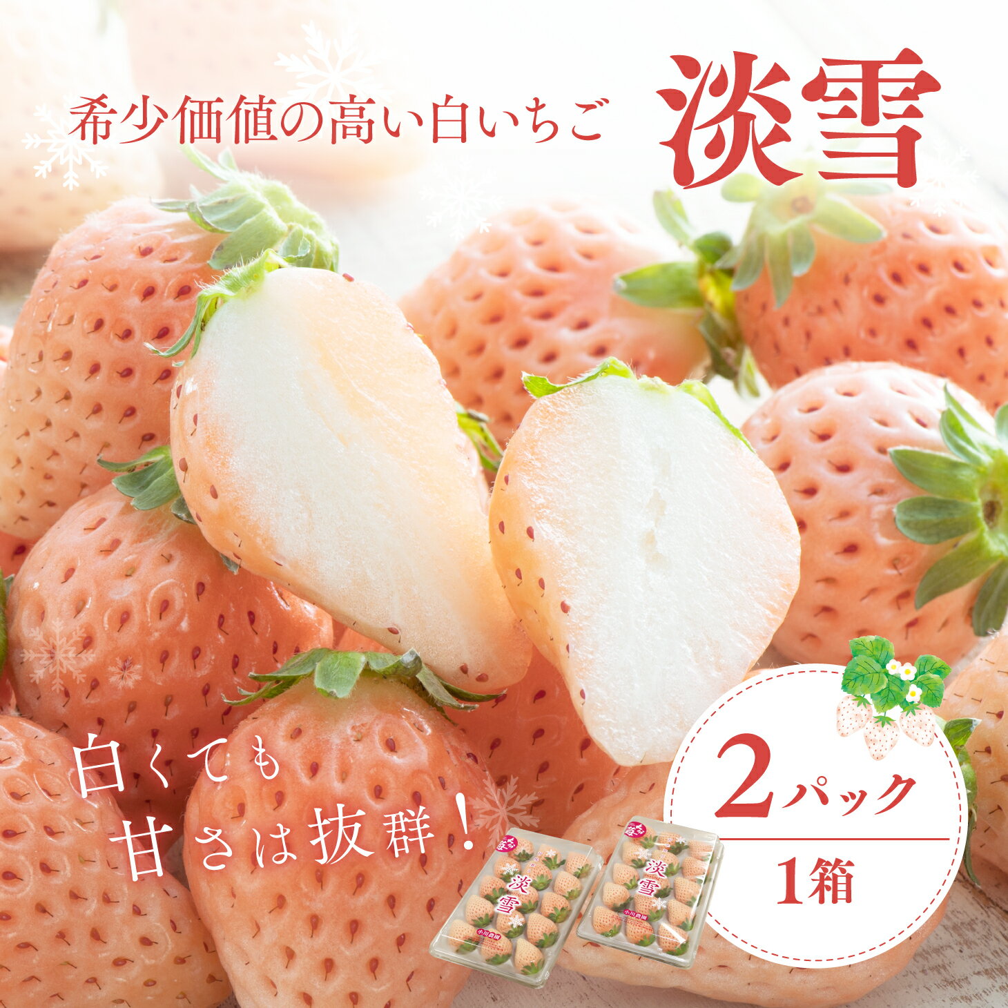 先行予約 淡雪 いちご (220g×2パック) フルーツ くだもの 白いちご 果物 完熟 イチゴ 苺 希少 おすすめ 白 果実 デザート 甘い 直送 人気 No.1 期間限定 大分県 豊後高田市 国産 箱入り ストロベリー 先行受付 ふるさと納税 送料無料