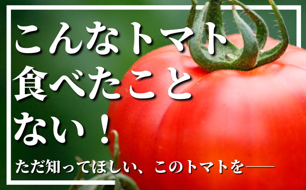 【ふるさと納税】＜先行予約受付開始！2026年3月下旬から順次発送予定＞フルーツトマト(2kg)トマト 野菜 期間限定 数量限定【110000201】【ひろしま農園】 - 画像2