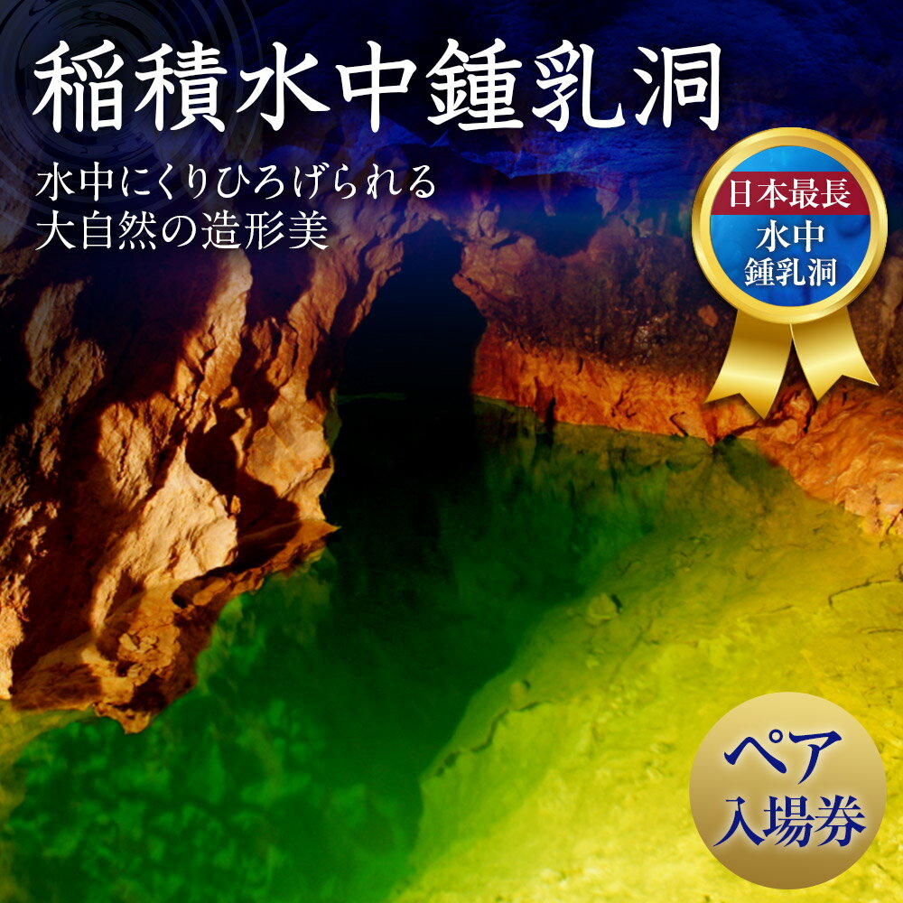 【ふるさと納税】稲積水中鍾乳洞 ペア入場券 日本最長水中鍾乳洞 大分県 豊後大野市 楽天スーパーSALE 9月開催 サムネイル3