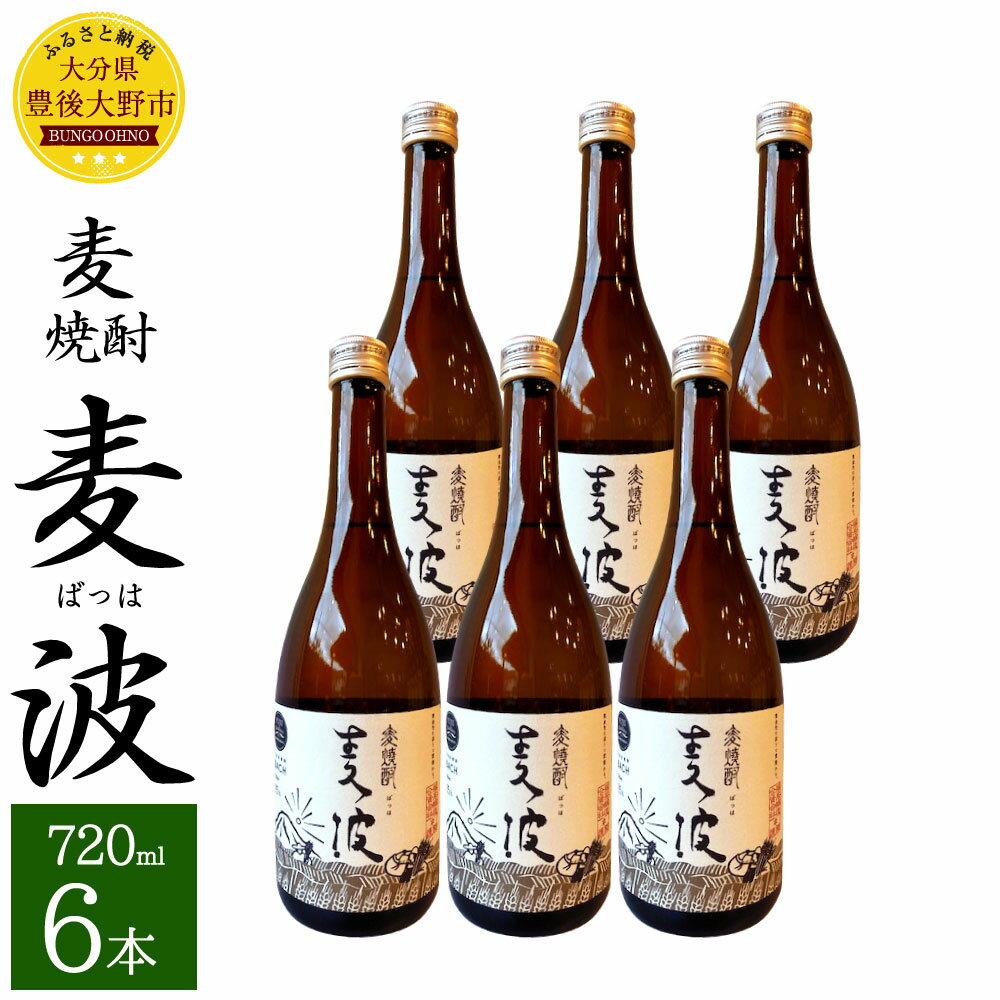 麦焼酎 麦波 ばっは 720ml 6本 セット 25度 麦 麦麹 減圧蒸留 焼酎 お酒 国産 大分県産 九州 送料無料