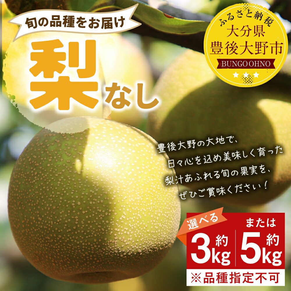 【ふるさと納税】【先行予約】大分県 豊後大野市産 梨 ＜容量が選べる＞ 約3kg または 約5kg 9000円 〜 12000円 9千円 〜 1万2000円なし 幸水 豊水 新高 新興 フルーツ 果物 くだもの 果実 大分県産 予約 送料無料 ※品種は選べません【2025年8月上旬から12月上旬発送予定】 サムネイル3