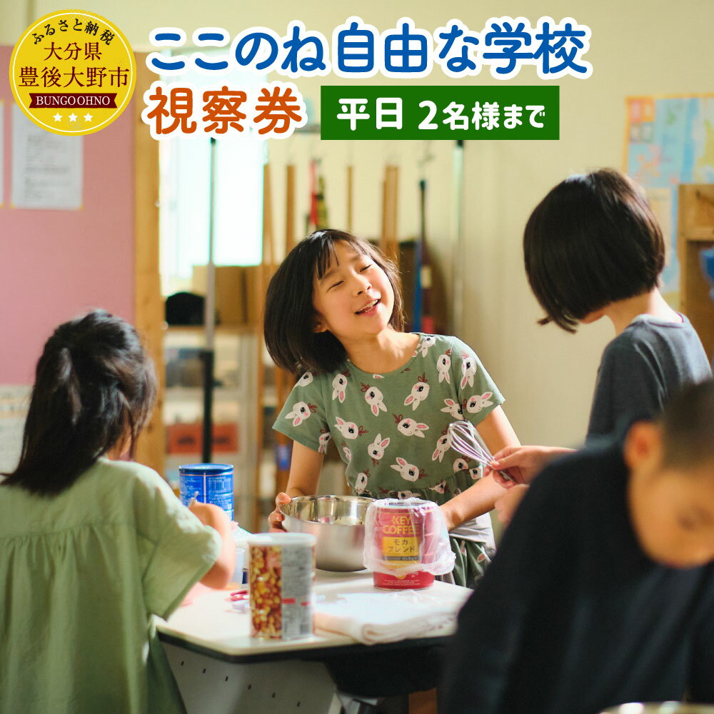 ここのね自由な学校 視察券 平日 2名様まで 大分県 豊後大野市 体験 ご案内 ツアー 送料無料 楽天スーパーSALE 9月開催