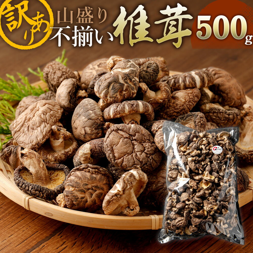 山盛り不揃い椎茸 500g 大容量 訳あり 14000円 1万4000円 家庭用 しいたけ 乾燥シイタケ 国産 九州 大分県 送料無料