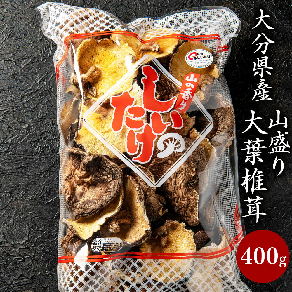 山盛り大葉椎茸 400g 大容量 訳あり 家庭用 しいたけ 乾燥シイタケ 巻き寿司 炊き込みご飯 国産 九州 大分県 送料無料