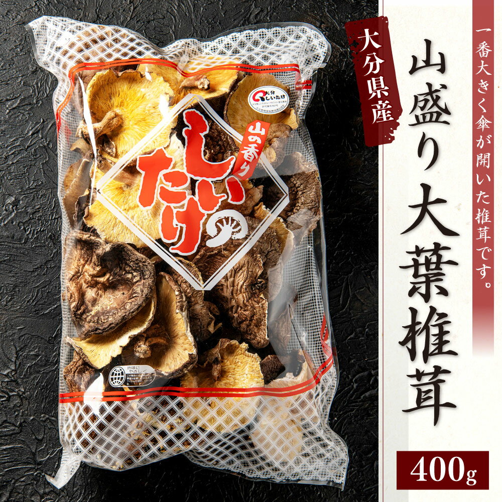 【ふるさと納税】山盛り大葉椎茸 400g 大容量 訳あり 家庭用 しいたけ 乾燥シイタケ 巻き寿司 炊き込みご飯 国産 九州 大分県 送料無料 - 画像3