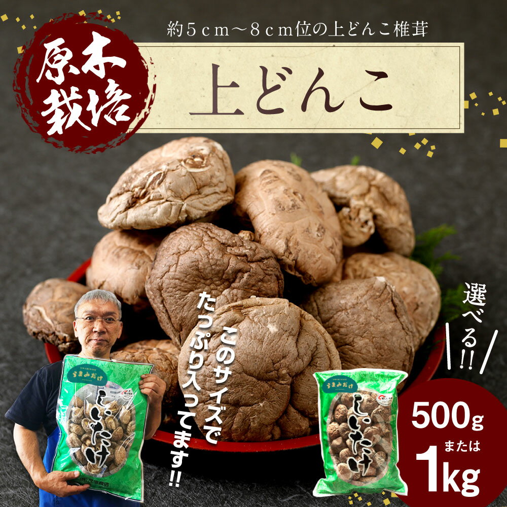 【ふるさと納税】上どんこ ＜容量が選べる＞ 500g 1kg 大分県豊後大野市産 うまみだけ どんこ 椎茸 しいたけ 干ししいたけ 九州 原木栽培 常温 送料無料【2025年4月上旬以降順次発送】 サムネイル3