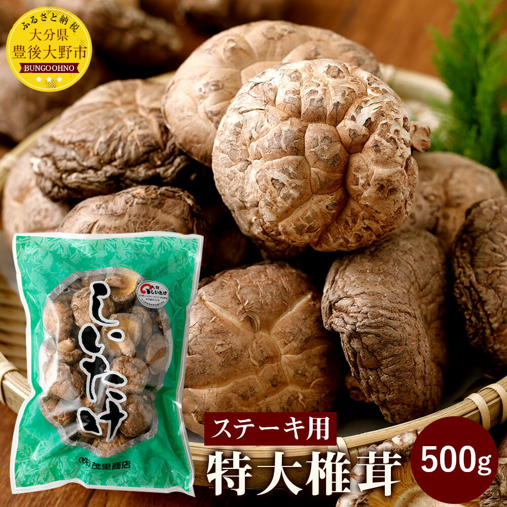 豊後大野市産 特大 椎茸 500g 肉厚 特大 ステーキにもおすすめ ベジタリアン ビーガン 菜食 大分県 豊後大野市 しいたけ 干ししいたけ 九州 原木栽培 送料無料