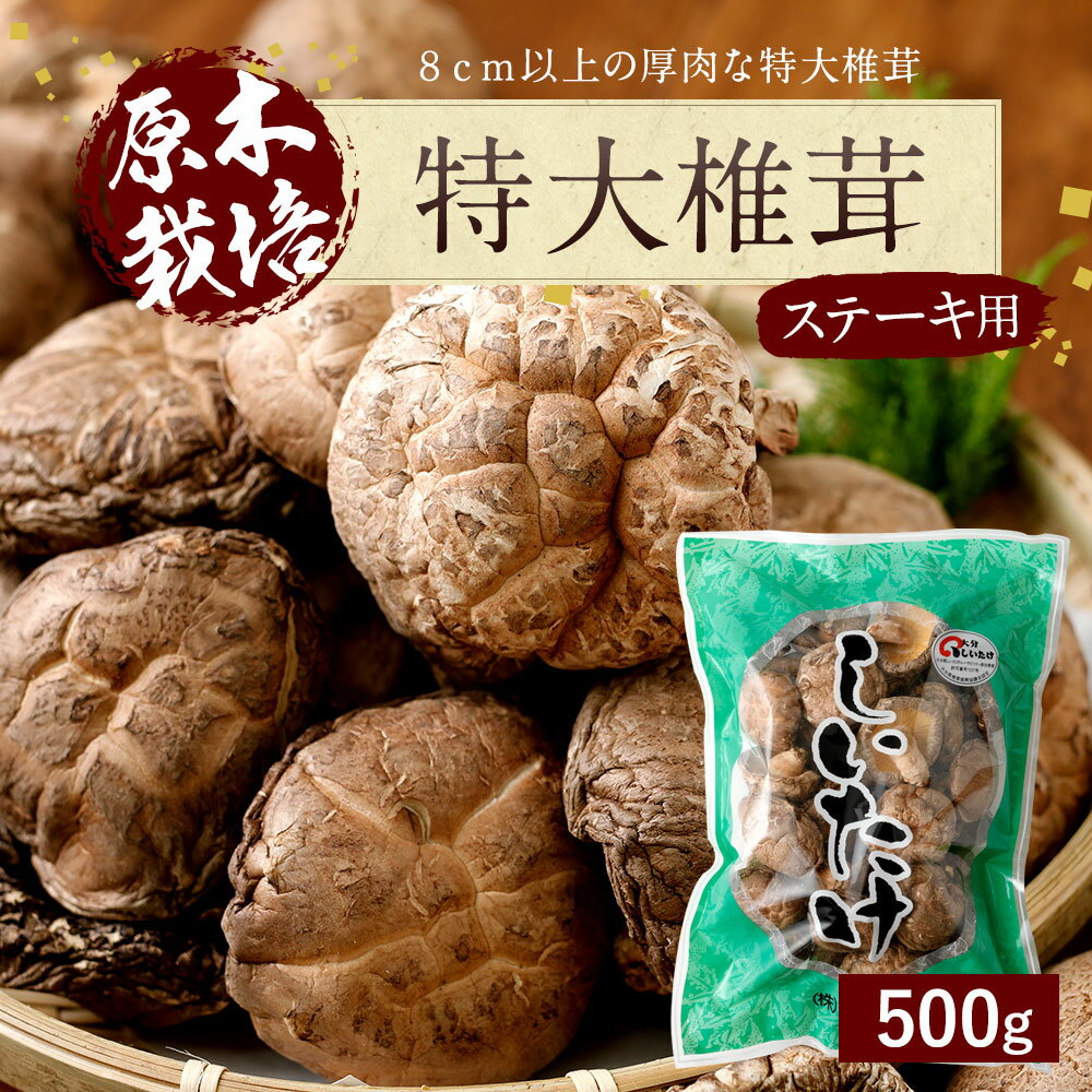 【ふるさと納税】豊後大野市産 特大 椎茸 500g 肉厚 特大 ステーキにもおすすめ ベジタリアン ビーガン 菜食 大分県 豊後大野市 しいたけ 干ししいたけ 九州 原木栽培 送料無料 - 画像2