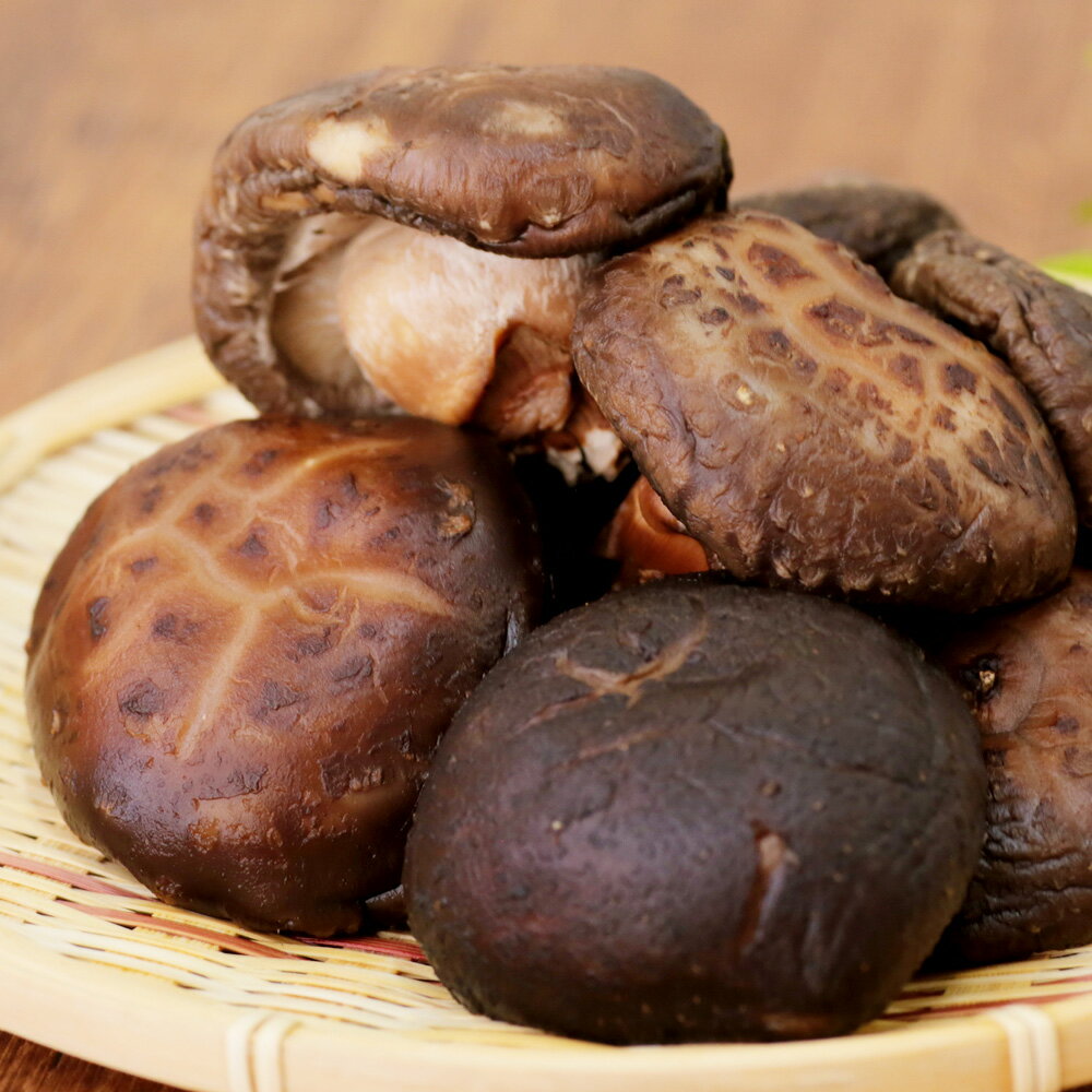 【ふるさと納税】豊後大野市産 特大 椎茸 500g 肉厚 特大 ステーキにもおすすめ ベジタリアン ビーガン 菜食 大分県 豊後大野市 しいたけ 干ししいたけ 九州 原木栽培 送料無料 - 画像3