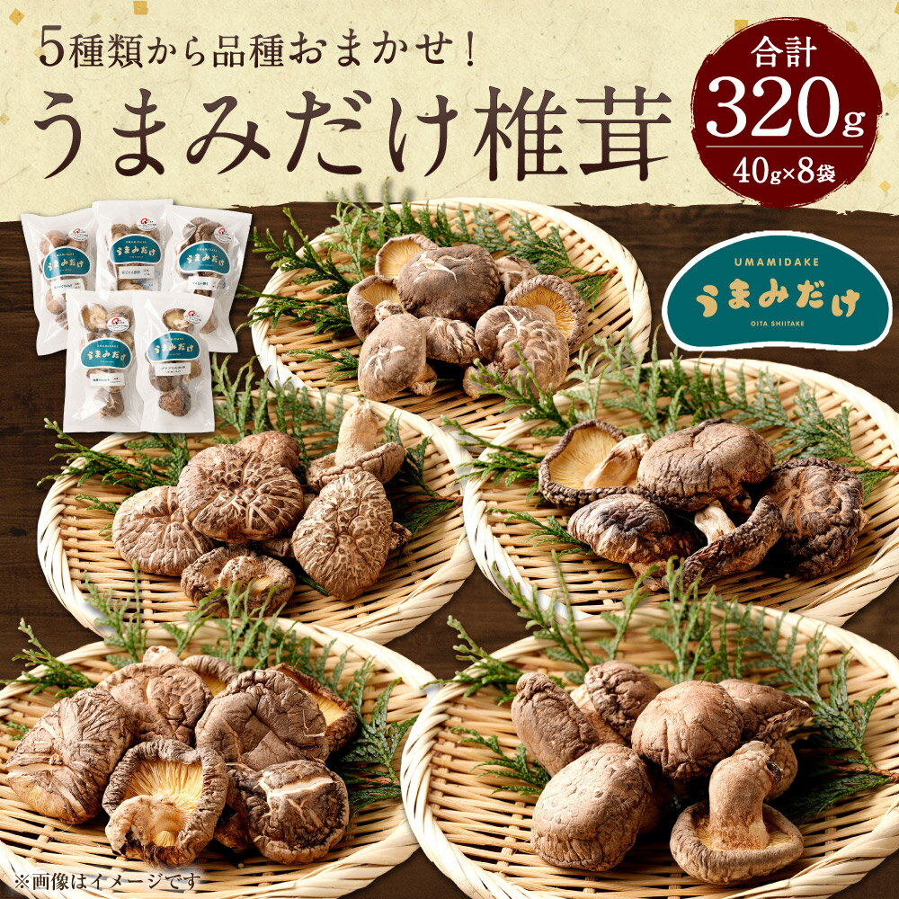 【ふるさと納税】うまみだけ 食べくらべセット 椎茸 合計320g 40g×8袋 品種おまかせ 食べ比べ セット しいたけ 干ししいたけ 乾燥椎茸 大分県産 国産 九州 送料無料 - 画像3