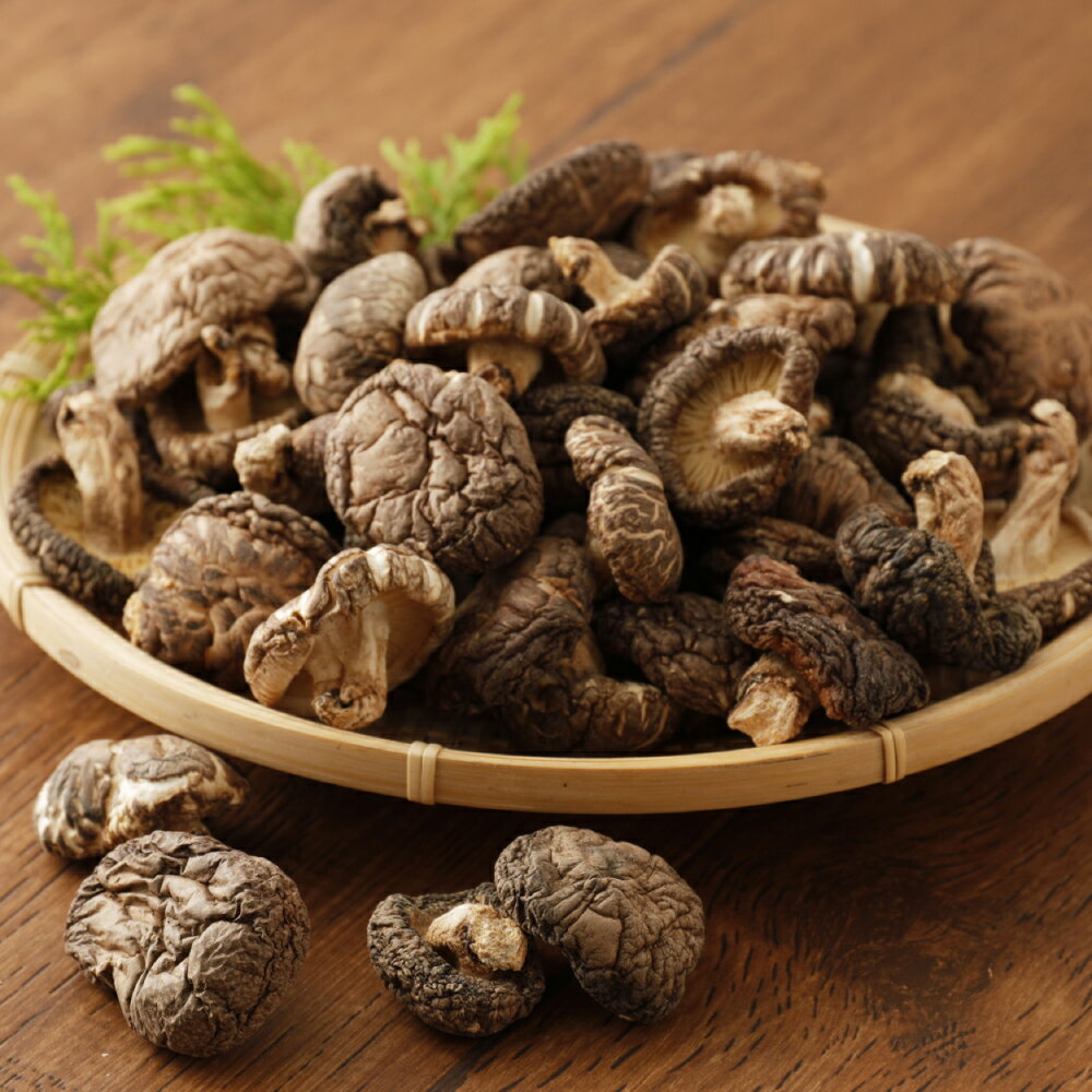 【ふるさと納税】大分県産椎茸 進物どんこ 120g 箱詰 贈答用 ギフト 贈り物 国産 九州 大分県 送料無料 - 画像3