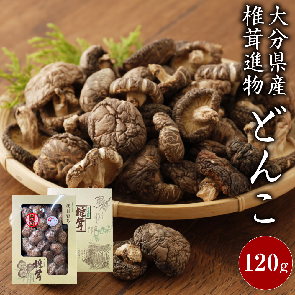 大分県産椎茸 進物どんこ 120g 箱詰 贈答用 ギフト 贈り物 国産 九州 大分県 送料無料