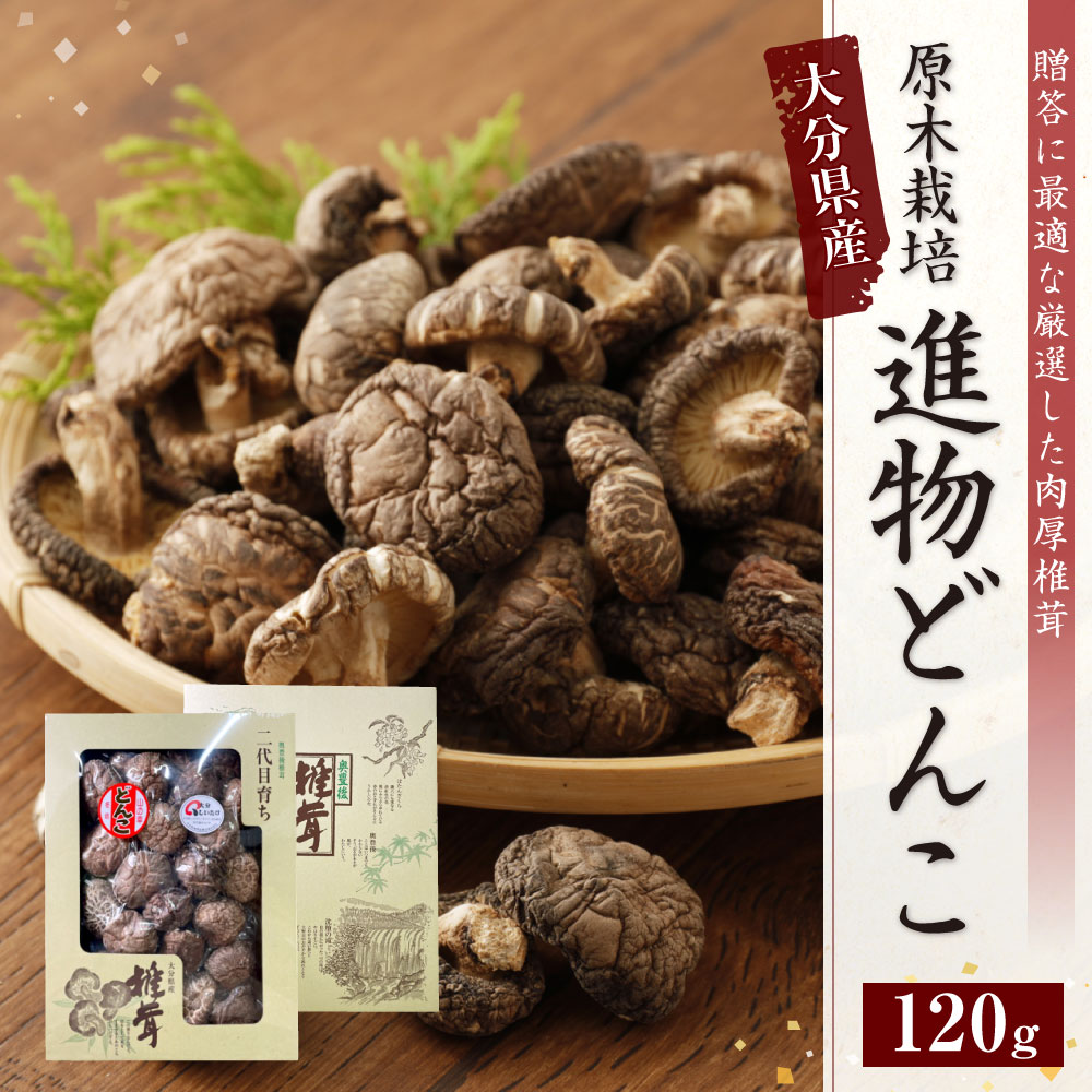 【ふるさと納税】大分県産椎茸 進物どんこ 120g 箱詰 贈答用 ギフト 贈り物 国産 九州 大分県 送料無料 - 画像2