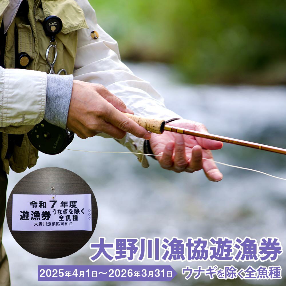 大野川漁協遊漁券 ウナギを除く全魚種 渓流釣り 腕章 1セット 大分県豊後大野市 一級河川 大野川 九州 送料無料 【有効期間：2026年3月31日まで】 楽天スーパーSALE 9月開催