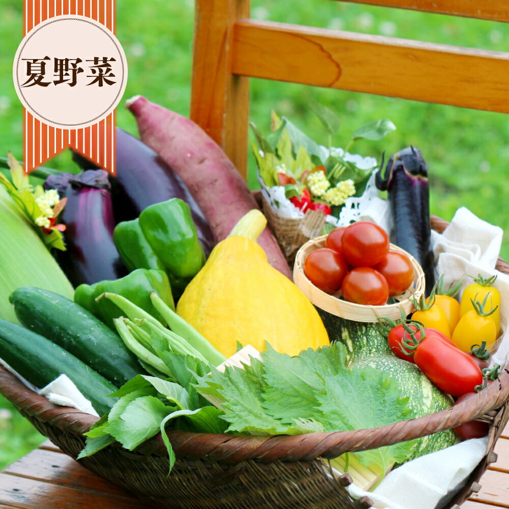 【ふるさと納税】豊後大野市の旬のお野菜 くだもの セット8～10品 栽培期間中農薬不使用 厳選 野菜 やさい 果物 フルーツ 夏野菜 冬野菜 旬 詰め合わせ 国産 九州 大分県 送料無料 - 画像3