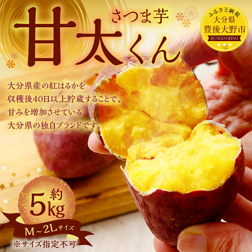 【ふるさと納税】甘太くん 約5kg M～2Lサイズ サイズ指定不可 紅はるか べにはるか さつまいも サツマイモ お芋 芋 焼き芋 おいも 甘藷 野菜 国産 九州 大分県 豊後大野市 送料無料【2025年12月下旬～2026年4月上旬発送予定】 - 画像2
