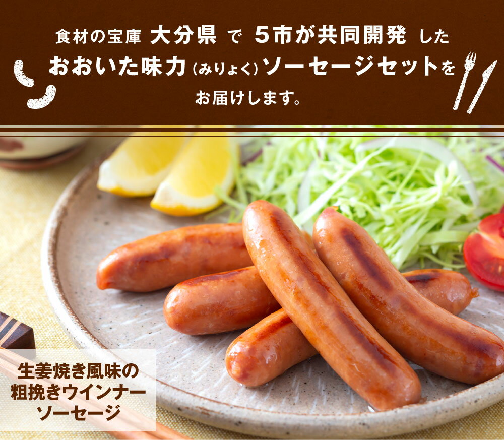 【ふるさと納税】おおいた味力ソーセージ セット 6種 ＜選べる＞ 1.14kg 2.28kg 詰め合わせ 詰合せ ウインナー フランクフルト ベーコン ボローニャ 粗挽き 加工品 加工肉 冷凍 九州産 送料無料 サムネイル3
