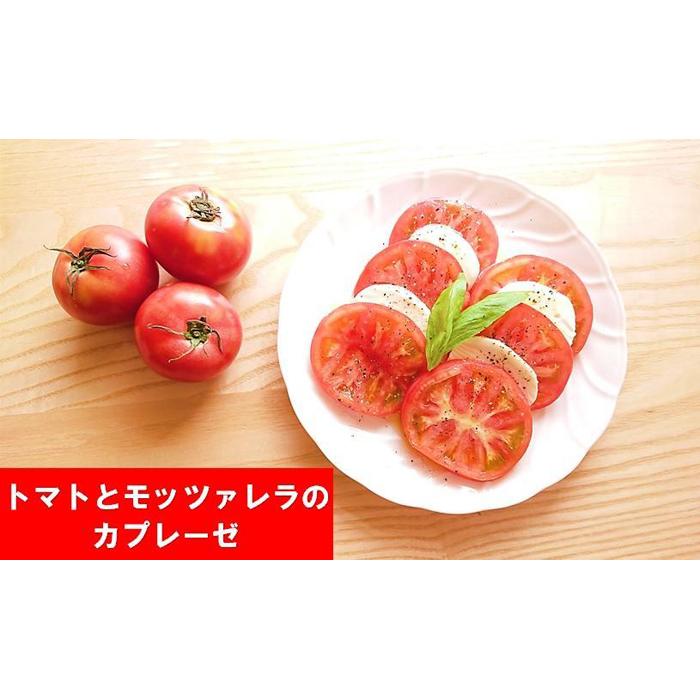 【ふるさと納税】由布の恵み【新鮮 朝穫れ旬野菜！8種類以上！】おまかせお楽しみセット | 野菜 詰合せ 詰め合わせ 新鮮 湯布院 由布院 ゆふいん 大分県 由布市 大分 返礼品 お取り寄せグルメ 取り寄せ - 画像3