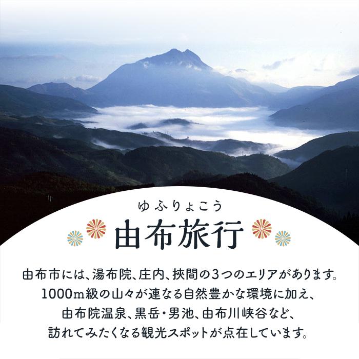【ふるさと納税】【由布市（湯布院、由布院、湯平、塚原高原）】ふるさと納税宿泊補助券15,000円分 | 温泉 観光 旅行 ホテル 旅館 クーポン チケット 予約 大分県 由布市 大分 九州 返礼品 支援 納税 宿泊券 旅行券 宿泊 トラベルクーポン サムネイル3