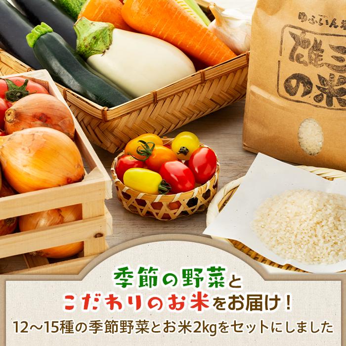 【ふるさと納税】江藤農園おすすめ【旬の野菜（12～15種類）とお米（2kg）】のセット | 湯布院 詰め合わせ | 新鮮野菜 自慢の野菜 12種以上 旬野菜 お米 2キロ セット 詰め合わせ 九州 大分県 湯布院 由布院 送料無料 - 画像2
