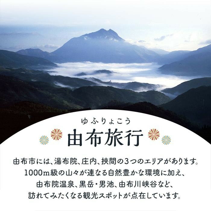 【ふるさと納税】【由布市（湯布院、由布院、湯平、塚原高原）】ふるさと納税宿泊補助券60,000円分 | 温泉 観光 旅行 ホテル 旅館 クーポン チケット 予約 大分県 由布市 大分 九州 宿泊券 旅行券 宿泊 トラベルクーポン トラベル - 画像3