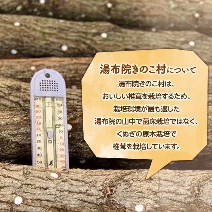 【ふるさと納税】湯布院【有機原木椎茸】とミートキノコソース180g×2袋セット | 肉厚しいたけ 有機JAS認証 原木しいたけ 農薬不使用 しいたけ 生しいたけ 国産椎茸 きのこ 調理 ソース パスタソース ミートソース お取り寄せ 湯布院 由布院 - 画像3