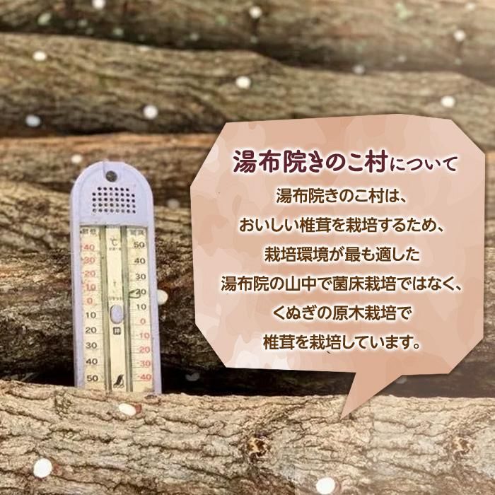 【ふるさと納税】湯布院【有機原木椎茸】とシイタケペーストセット | 肉厚しいたけ 有機JAS認証 原木しいたけ 農薬不使用 しいたけ 生しいたけ 国産椎茸 きのこ 調味料 ソース パスタソース スープ 調理万能 万能調味料 料理万能 お取り寄せ 湯布院 由布院 - 画像3