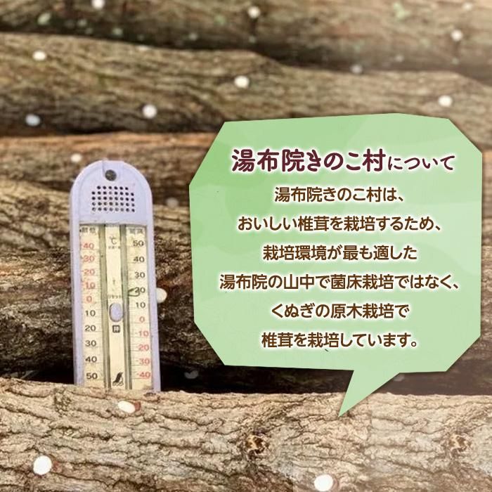 【ふるさと納税】湯布院【有機原木椎茸使用】「湯布院きのこ村」おススメセット | 肉厚しいたけ 有機JAS認証 原木しいたけ 農薬不使用 しいたけ 生しいたけ 調味料 ソース パスタソース ミートソース スープ 調理万能 万能調味料 料理万能 お取り寄せ 湯布院 由布院 - 画像3