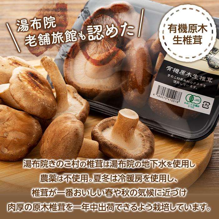 【ふるさと納税】湯布院【有機原木椎茸】とミートキノコソース180g×2袋セット | 肉厚しいたけ 有機JAS認証 原木しいたけ 農薬不使用 しいたけ 生しいたけ 国産椎茸 きのこ 調理 ソース パスタソース ミートソース お取り寄せ 湯布院 由布院 - 画像2