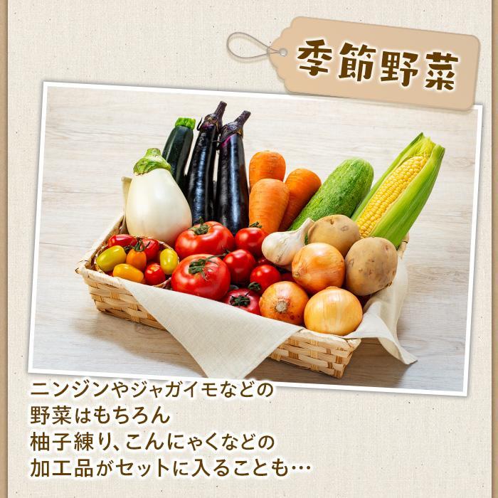 【ふるさと納税】江藤農園おすすめ 湯布院の旬の野菜（12～15種類！）詰め合わせ | 新鮮野菜 自慢の野菜 12種以上 旬野菜 セット 詰め合わせ 九州 大分県 湯布院 由布院 送料無料 - 画像2