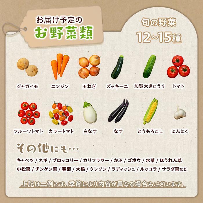【ふるさと納税】江藤農園おすすめ 湯布院の旬の野菜（12～15種類！）詰め合わせ | 新鮮野菜 自慢の野菜 12種以上 旬野菜 セット 詰め合わせ 九州 大分県 湯布院 由布院 送料無料 - 画像3