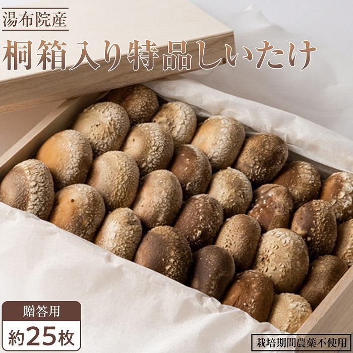 【全国銅賞受賞】＜贈答用＞桐箱入り特品しいたけ(約400g・サイズ混合約25枚)｜栽培期間農薬不使用 | シイタケ きのこ 返礼品 支援 お取り寄せグルメ お取り寄せ グルメ ギフト 名産品 贈答 ご当地 国産 湯布院 由布院