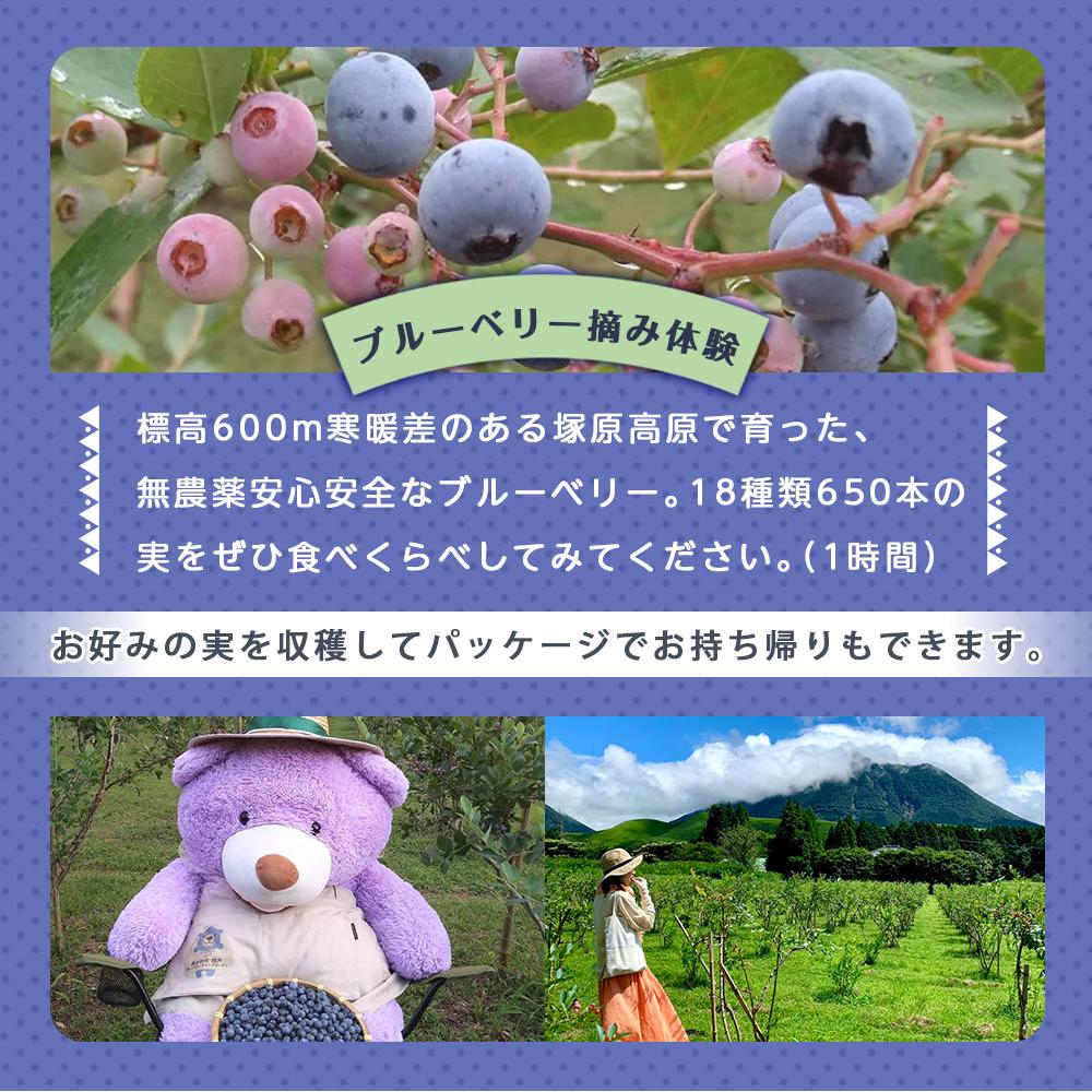 【ふるさと納税】【湯布院 熊谷牧場・雛戸】施設内なんでも使える！ブルーベリー・キャンプガーデン ご利用補助券 9,000円分 | チケット 利用券 キャンプ カフェ ブルーベリー 湯布院 由布院 ゆふいん 由布市 大分県 大分 九州 食事券 食事 旅行 トラベル 観光 旅 サムネイル3