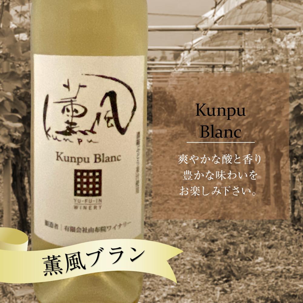 【ふるさと納税】無尽蔵ブラン・薫風ブラン 白ワイン 720ml×各1本 計2本＜由布院ワイナリー＞ | ワイン 赤ワイン 果実酒 酒 お酒 アルコール 瓶 なし ぶどう 葡萄 フルーツ 果物 ご当地 お土産 ギフト お取り寄せ 人気 おすすめ 湯布院 由布院 ゆふいん 数量限定 サムネイル3