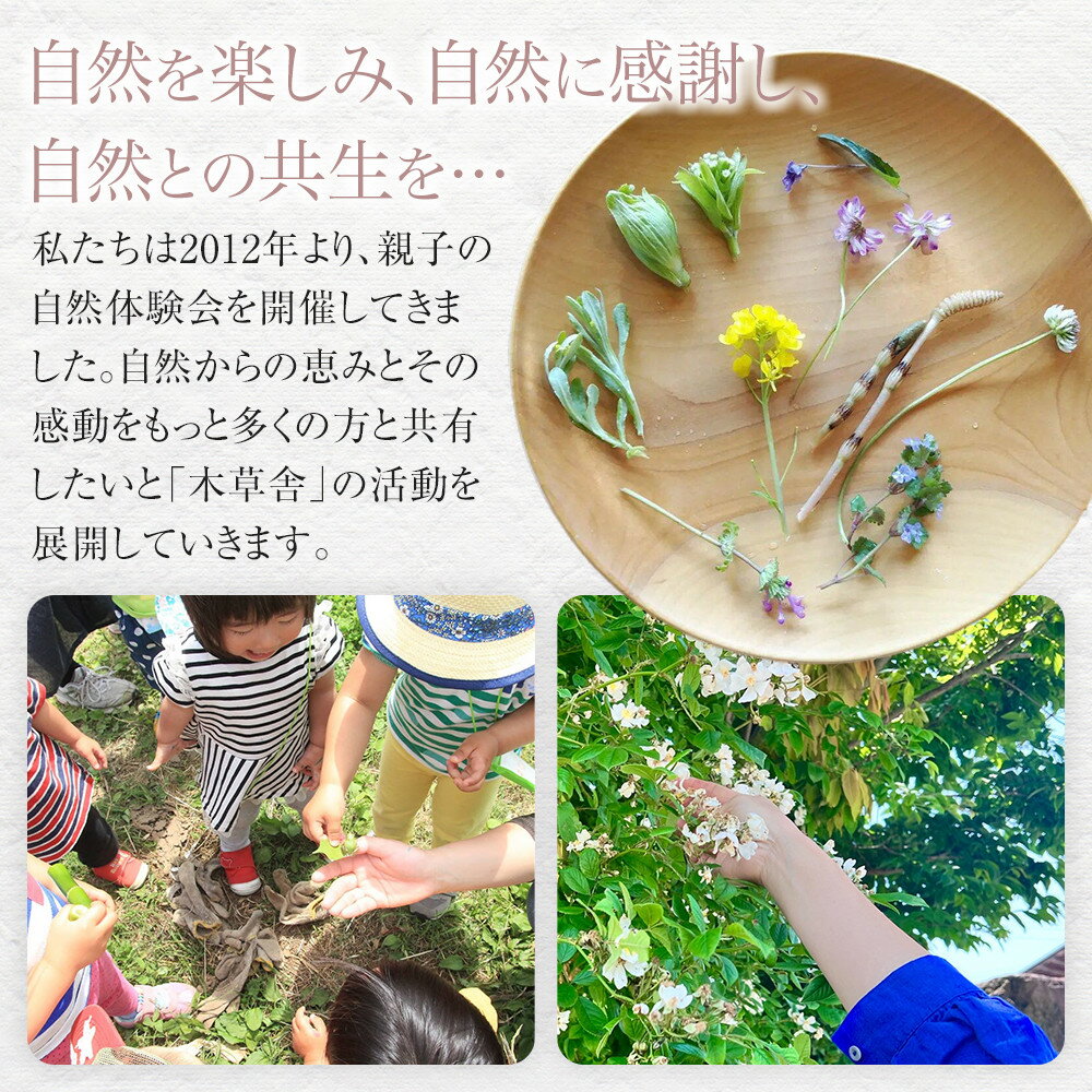 【ふるさと納税】そのまま置いて飾れる！靴ベラ＜選択可：猫or犬or小鳥から選べる＞【木草舎ーもくそうやー】 | 湯布院 由布院 由布市 大分県 大分 九州 ゆふいん 置物 置き物 インテリア 木製 写真 靴 靴べら サムネイル3