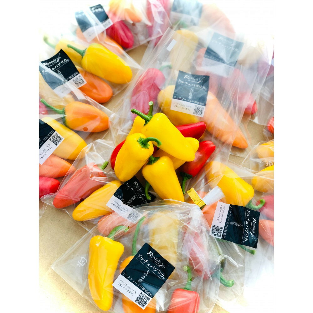 【ふるさと納税】カラフル スナックパプリカ・カラーMIX (1袋約100g) | 野菜 やさい 食品 人気 おすすめ 送料無料 - 画像2