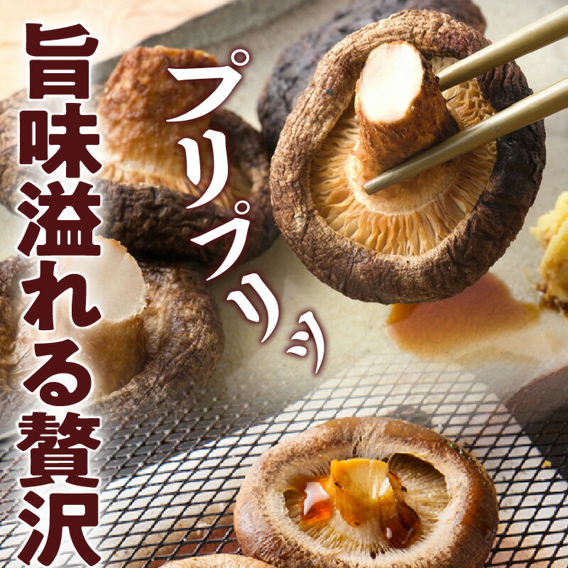 【ふるさと納税】保存に便利なチャック付き！大分県産干し椎茸「ステーキ用」2パック シイタケ 乾物 おすすめ 栄養 美容 食物繊維 出汁夕食 大分県産 特産品 ご当地 - 画像2