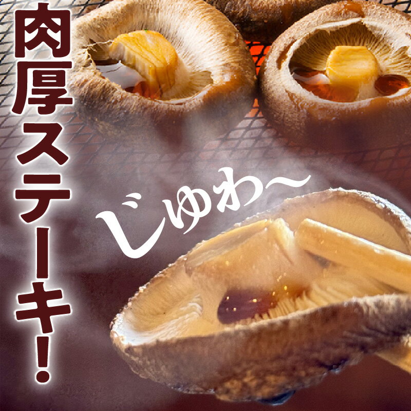 【ふるさと納税】保存に便利なチャック付き！大分県産干し椎茸「ステーキ用」2パック シイタケ 乾物 おすすめ 栄養 美容 食物繊維 出汁夕食 大分県産 特産品 ご当地 - 画像3